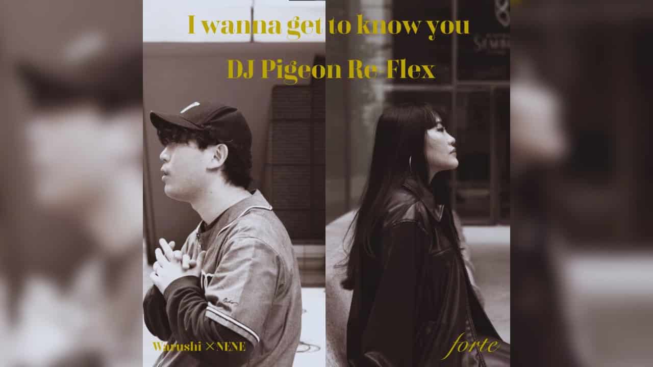 Warushi×NENE – I wanna get to know you (DJ Pigeon Re-flex)